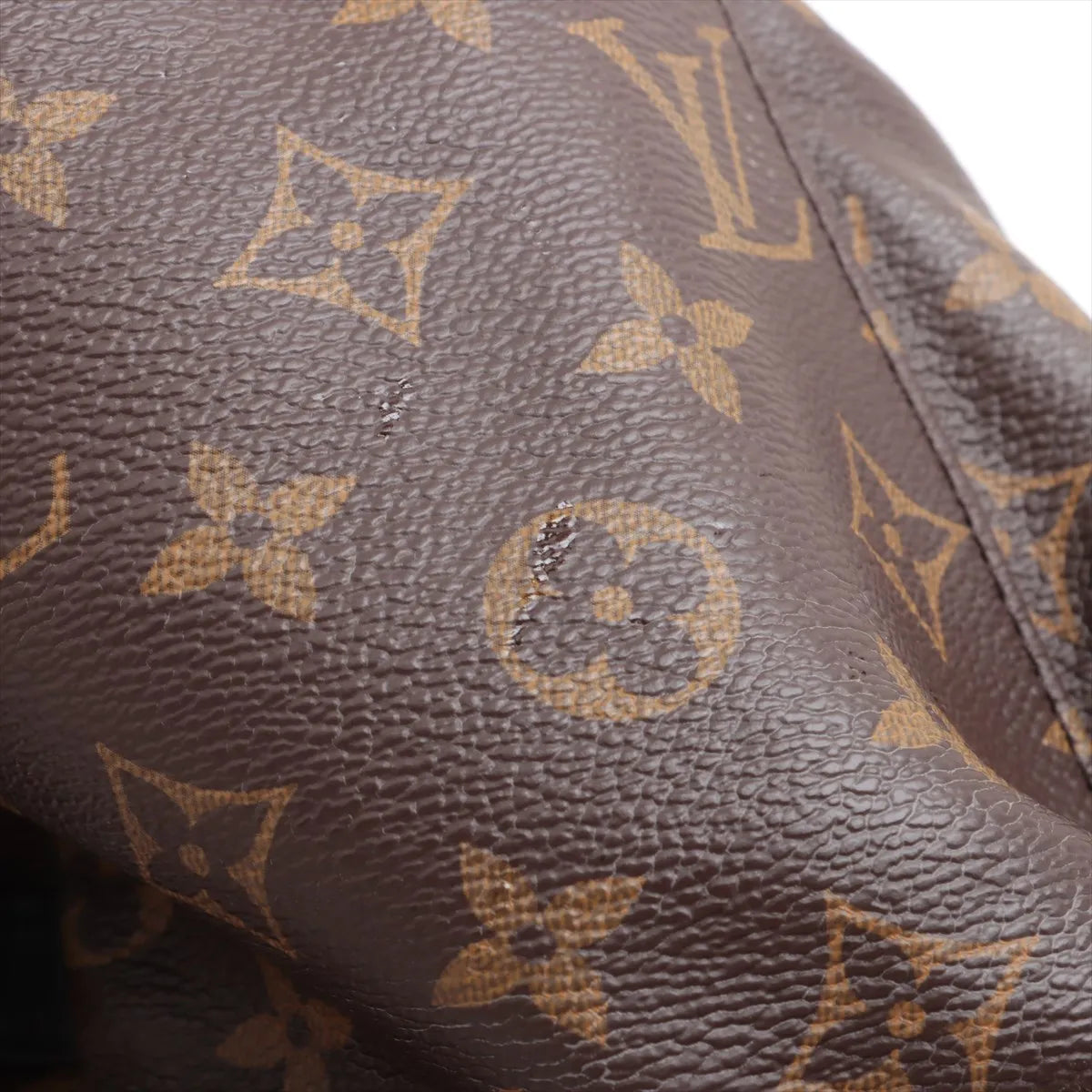 Louis Vuitton Monogram Palm Springs MM Backpack