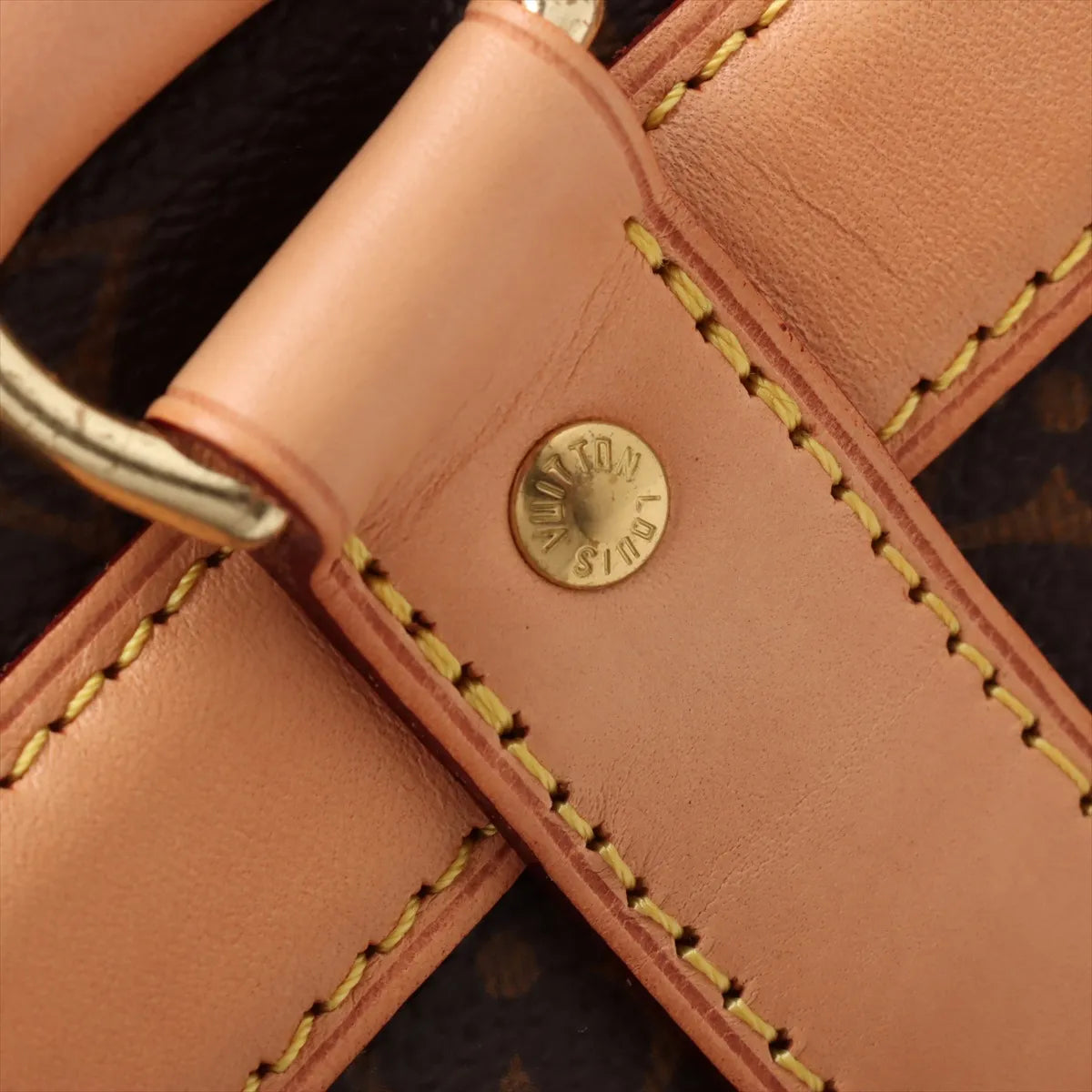 Louis Vuitton Monogram Dog Bag