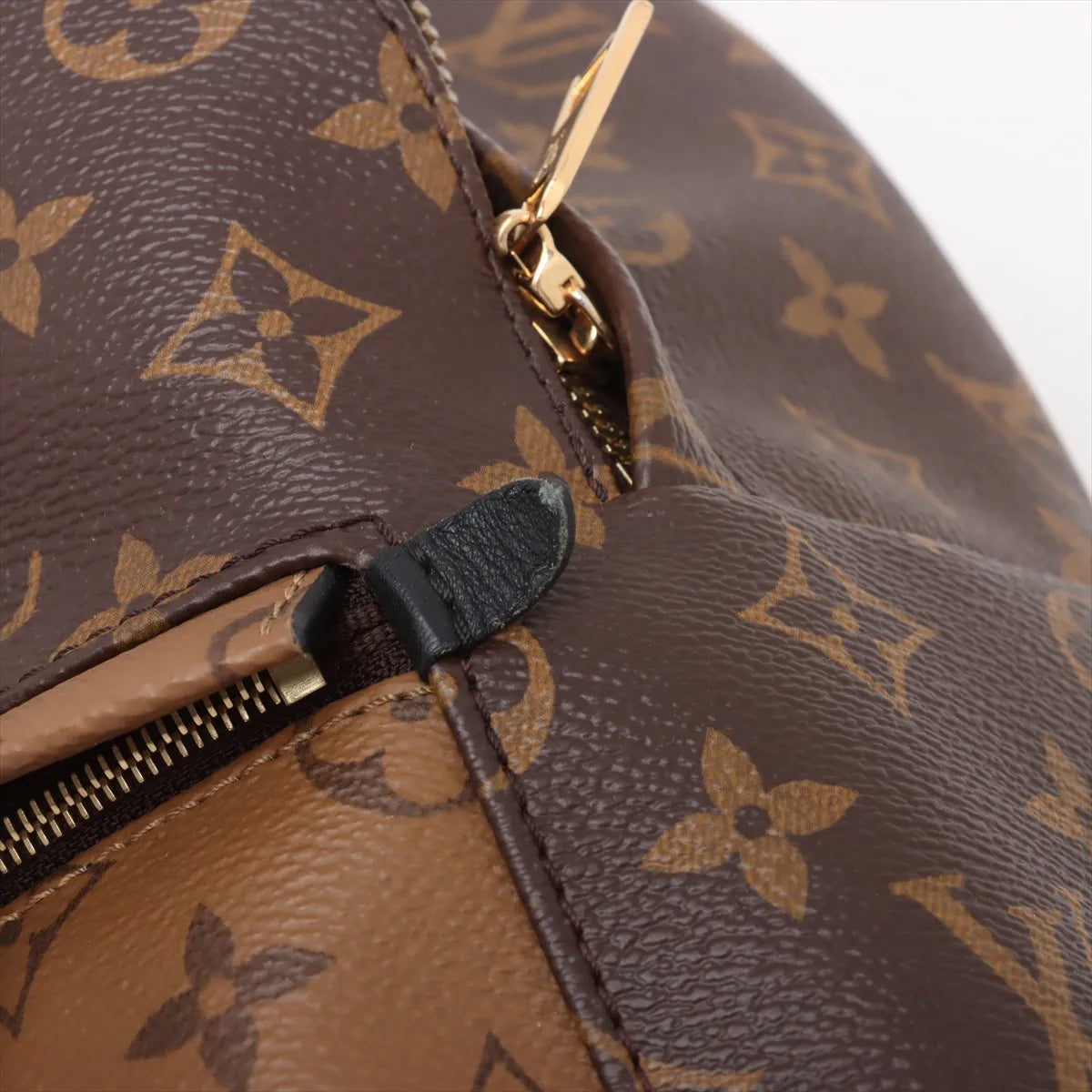 Louis Vuitton Monogram Reverse Palm Springs Backpack PM