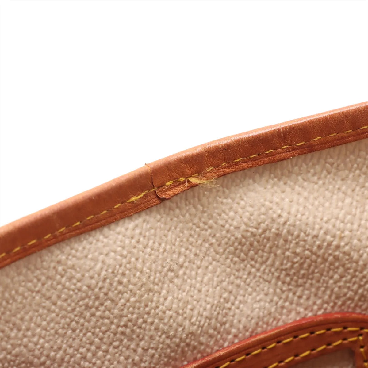 Louis Vuitton Monogram Bucket PM Tote Bag
