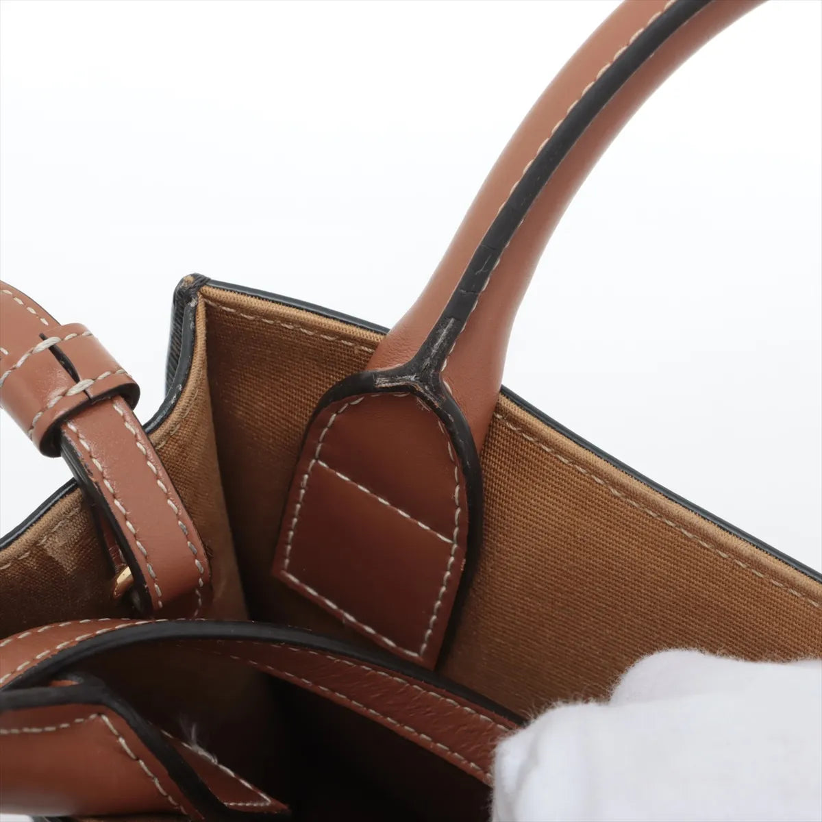 Celine Triomphe Mini Vertical Hippopotamus Shoulder Bag Black x Brown * PREORDER *