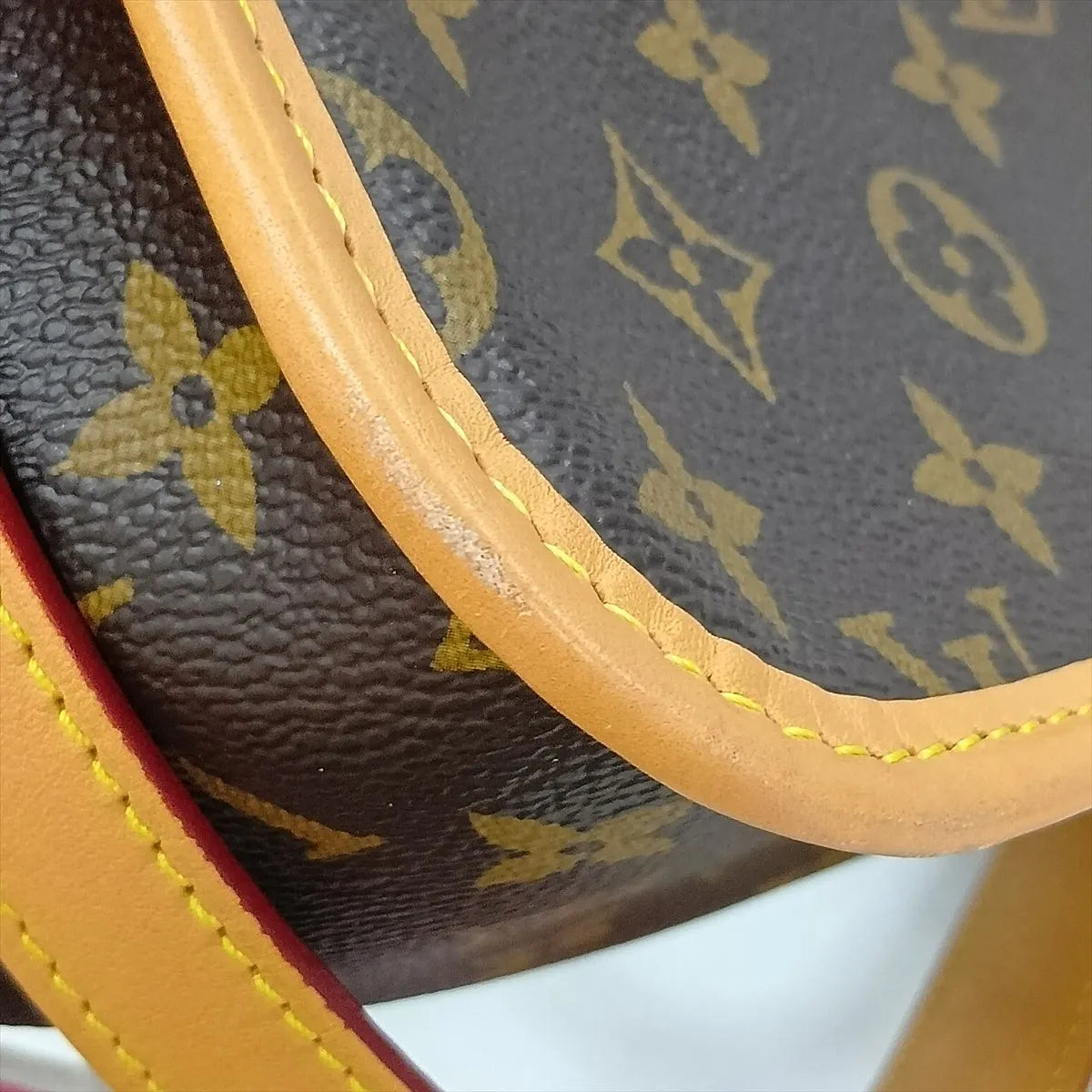 Louis Vuitton Monogram Diane NM PM Brown