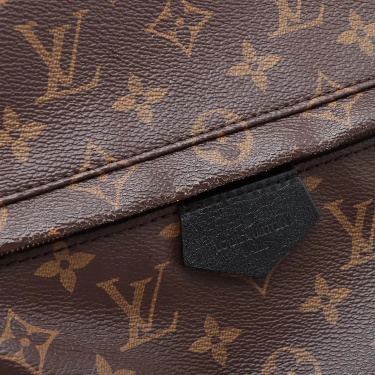 Louis Vuitton Monogram Palm Springs MM Backpack