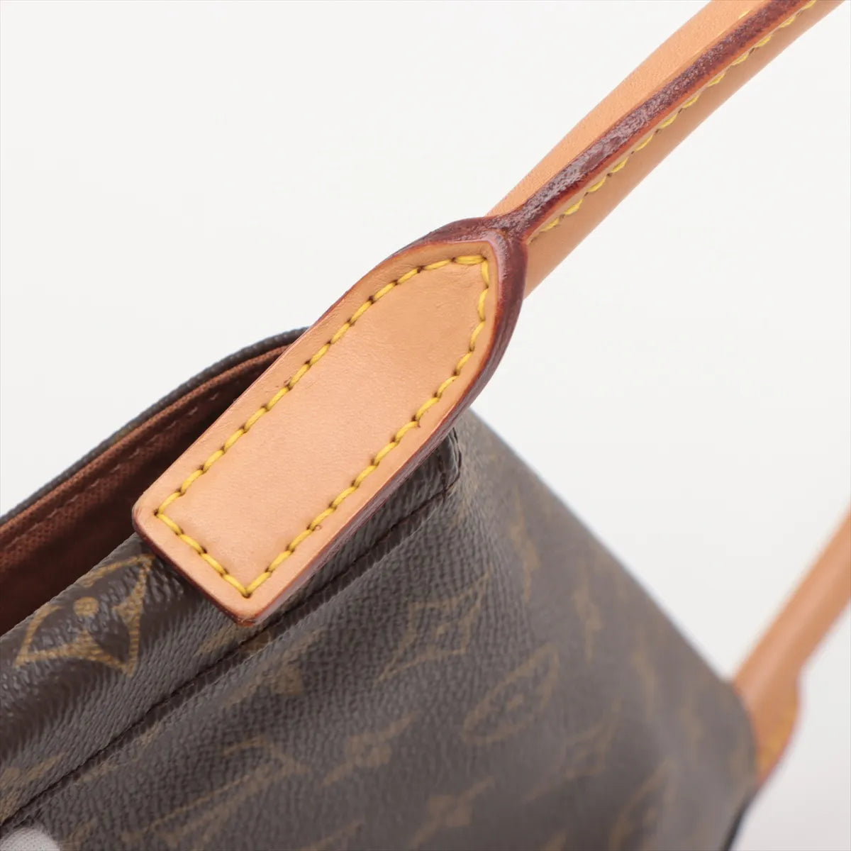 Louis Vuitton Monogram Mini Looping
