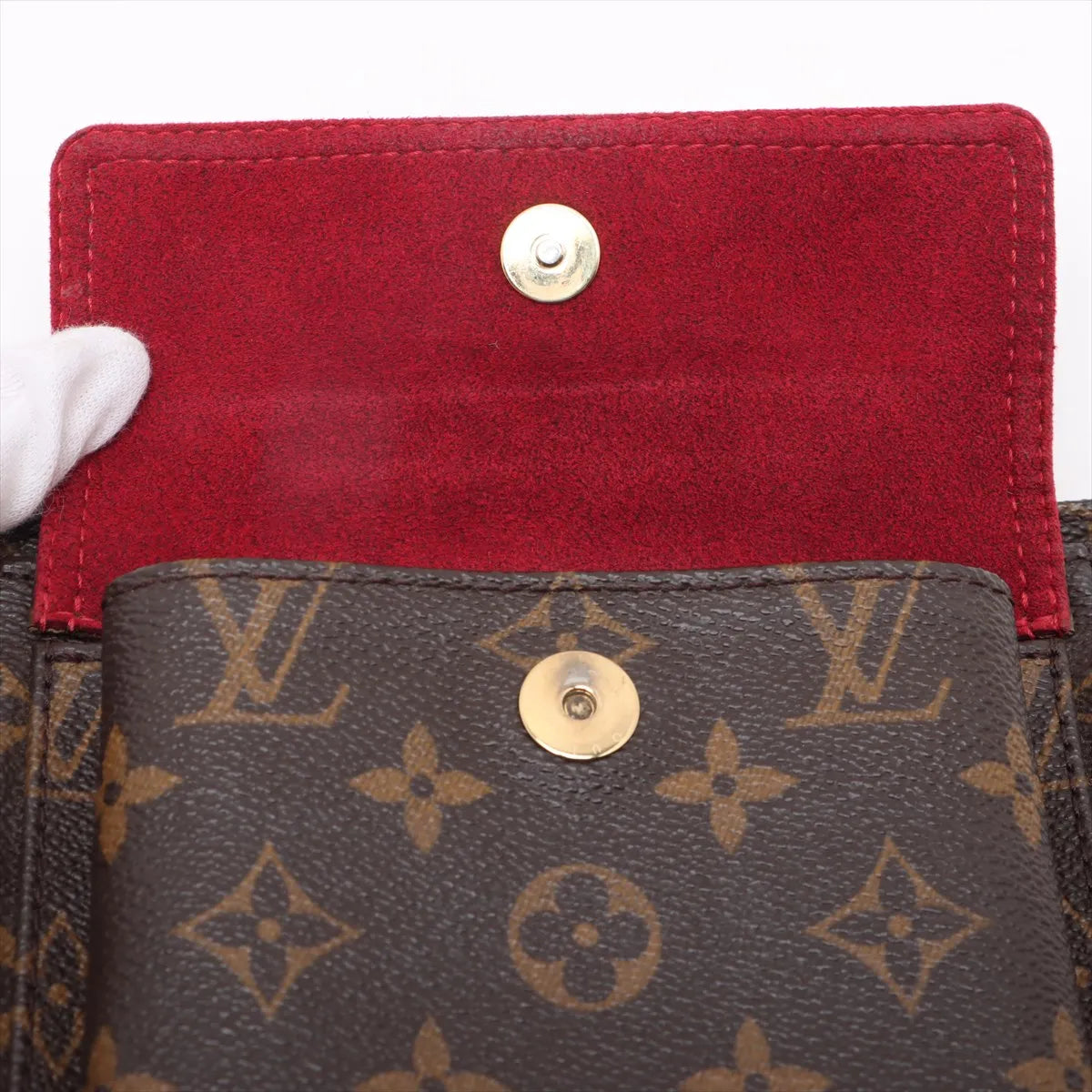Louis Vuitton Monogram Viva Cite PM