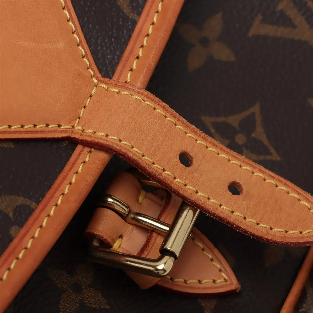 Louis Vuitton Monogram Sologne