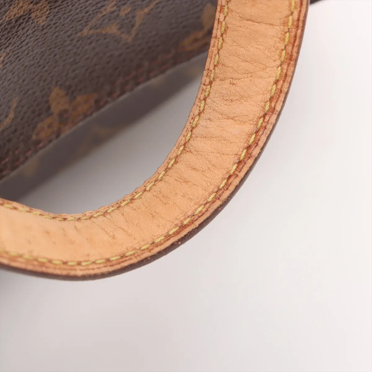 Louis Vuitton Monogram Excentri-Cite Bag