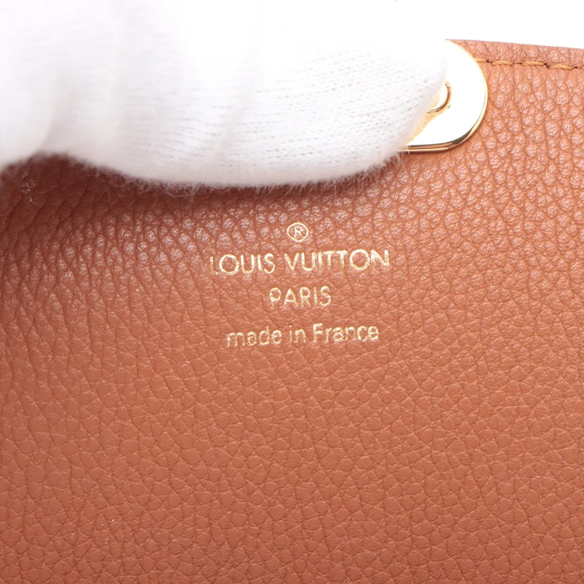 Louis Vuitton Monogram x Taurillon Eden PM Brown