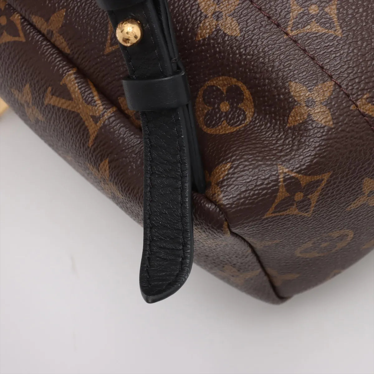 Louis Vuitton Monogram Reverse Palm Springs Backpack PM