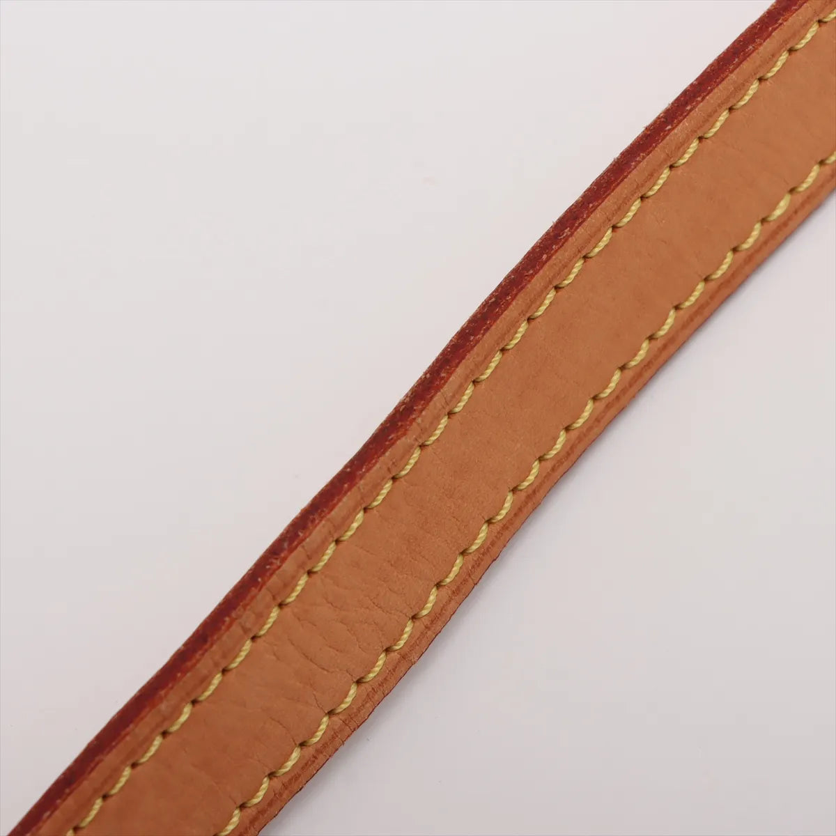 Louis Vuitton Monogram Sologne