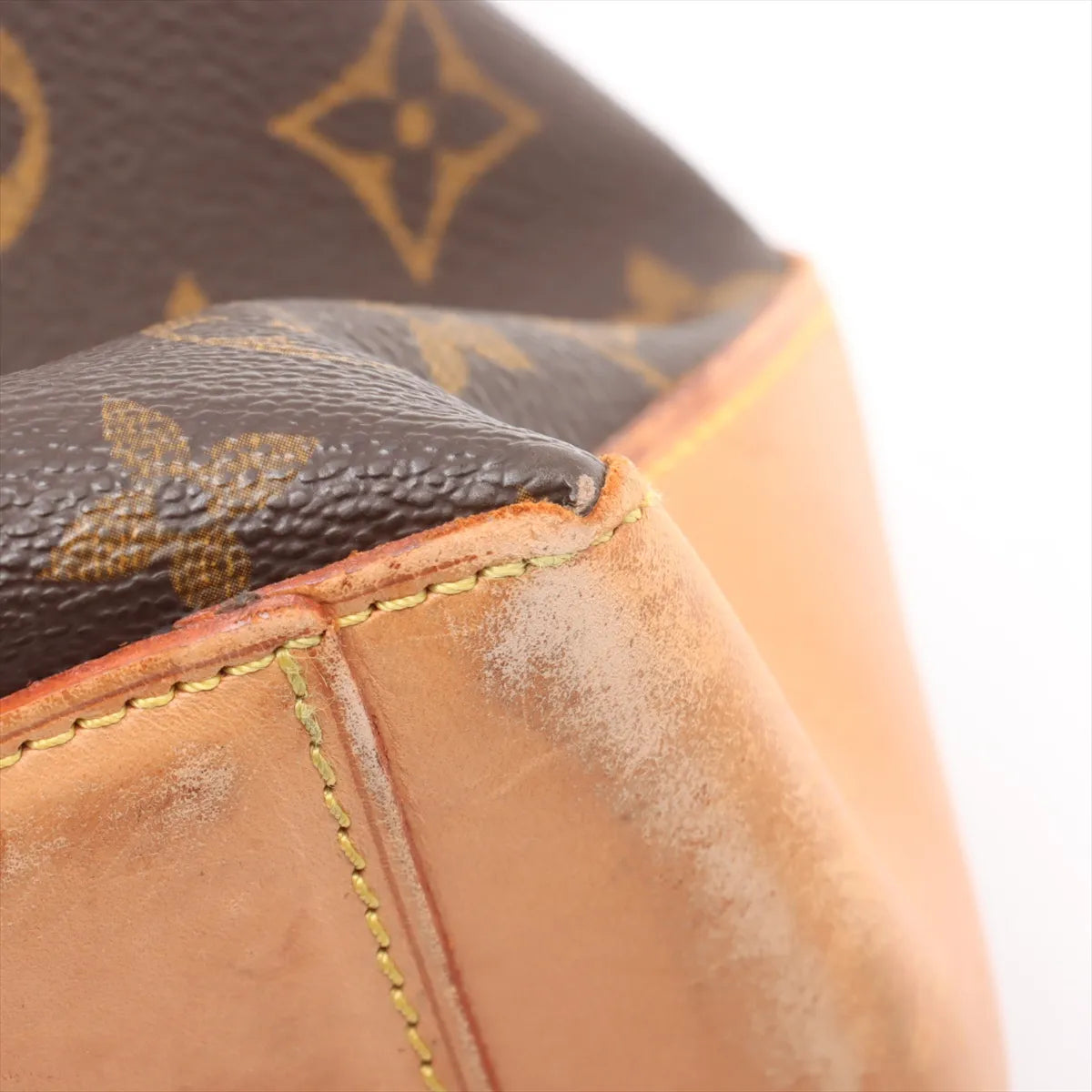 Louis Vuitton Monogram Cabas Alto Tote Bag