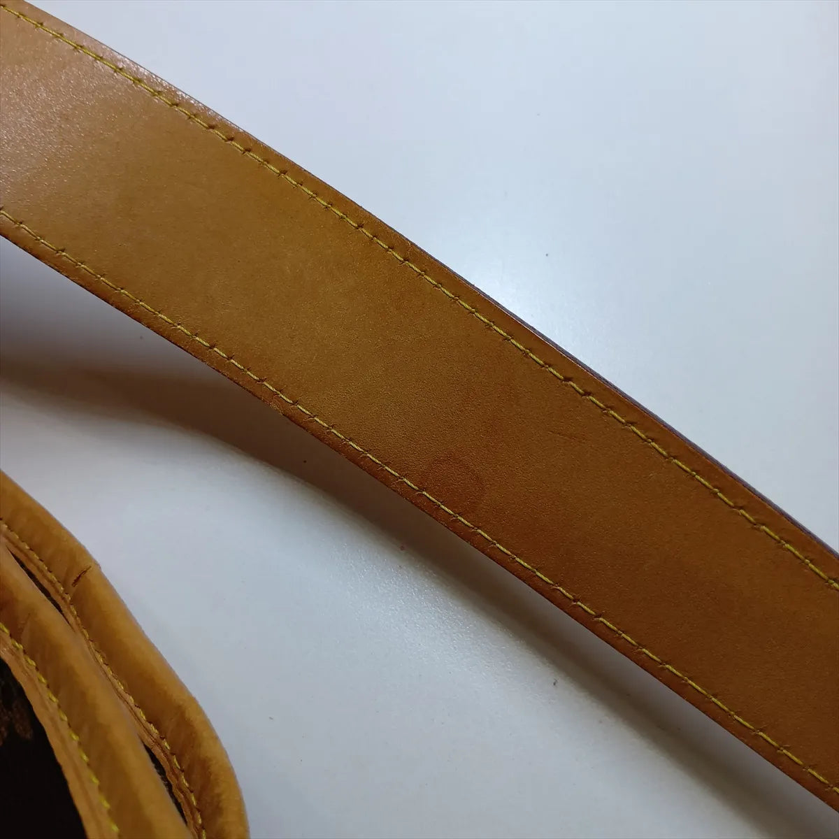 Louis Vuitton Monogram Delightful MM