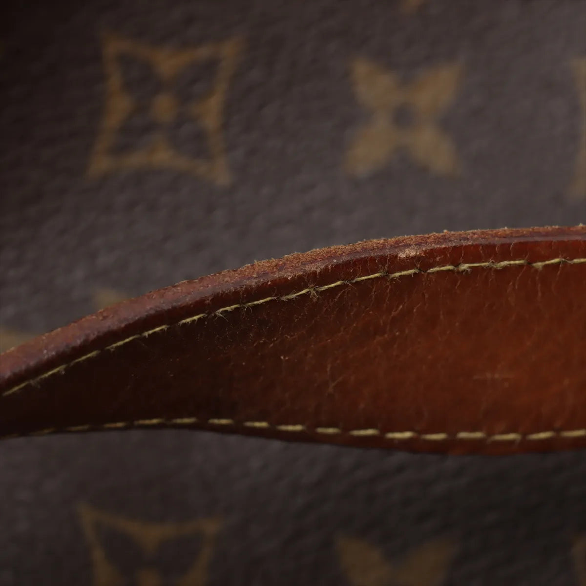 Louis Vuitton Monogram Galliera PM