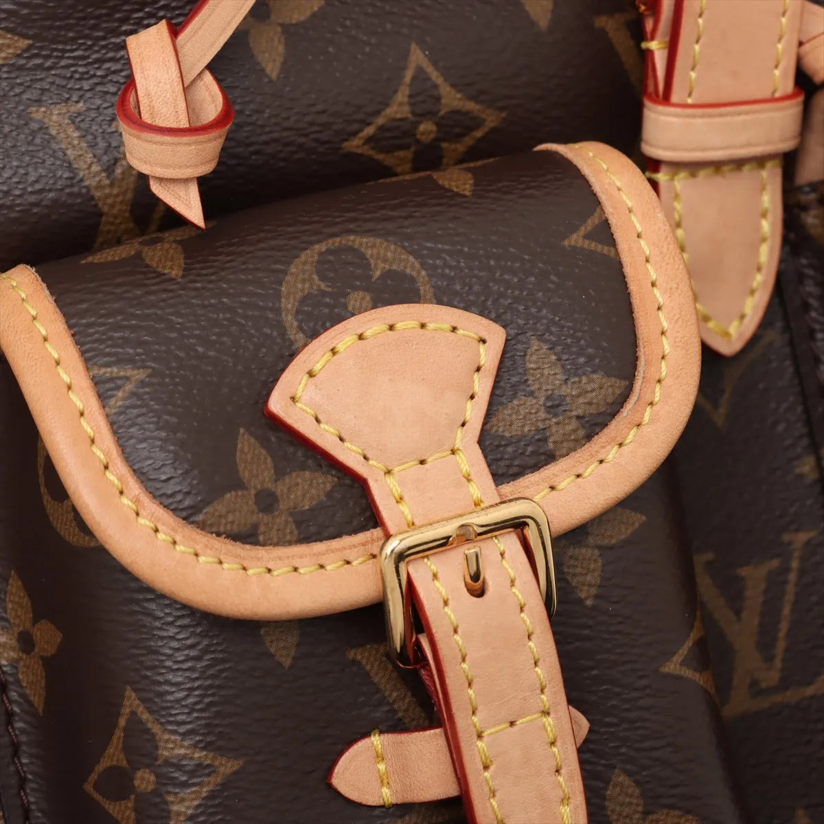 Louis Vuitton Monogram Excursion PM