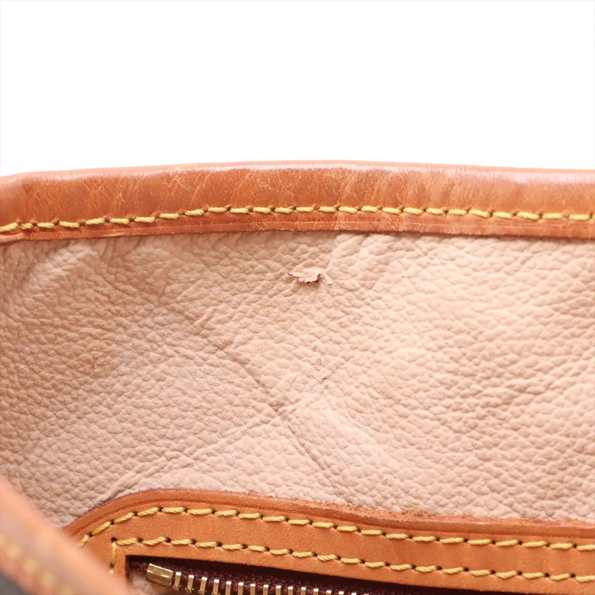 Louis Vuitton Monogram Bucket PM Tote Bag