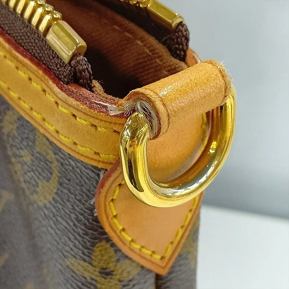 Louis Vuitton Monogram Palermo PM