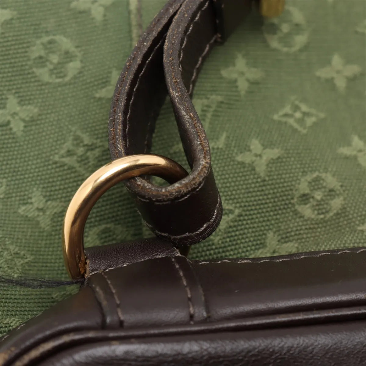 Louis Vuitton Monogram Mini Lin Montsouris GM Army Green