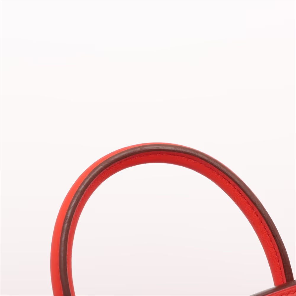 Hermès Birkin 25 Le Tournay Veau Swift Capucines