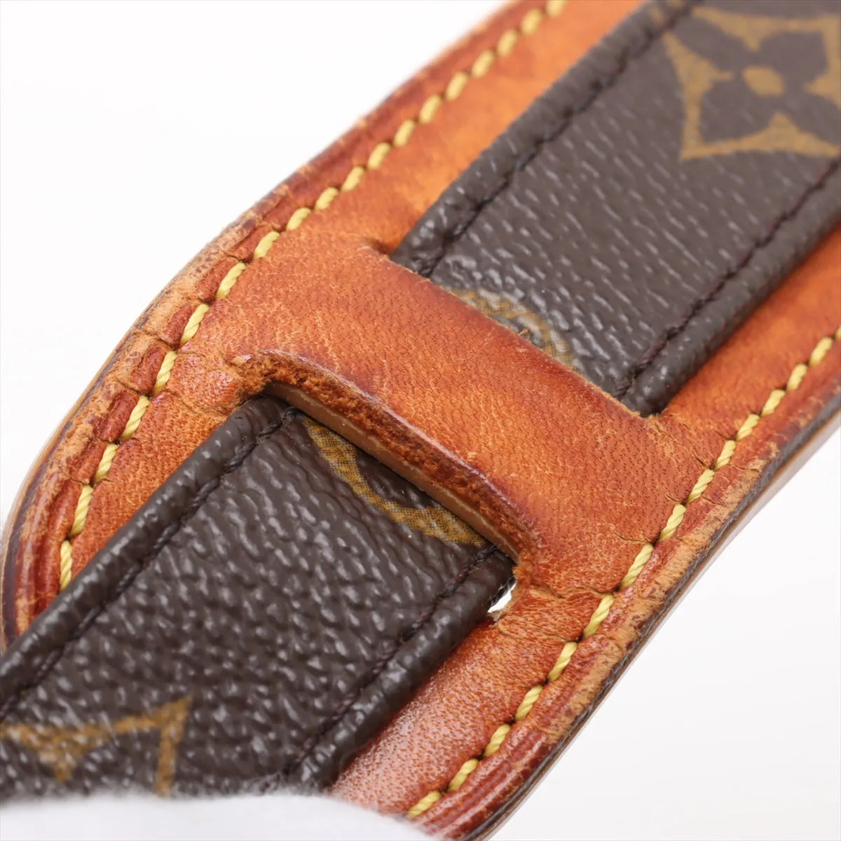 Louis Vuitton Monogram Nile Messenger Bag