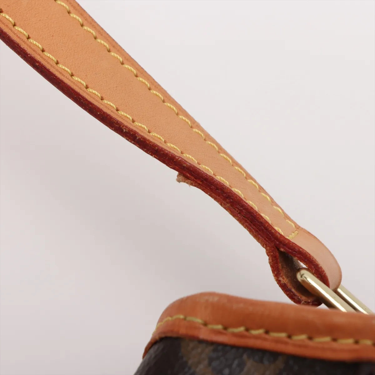 Louis Vuitton Monogram Sologne