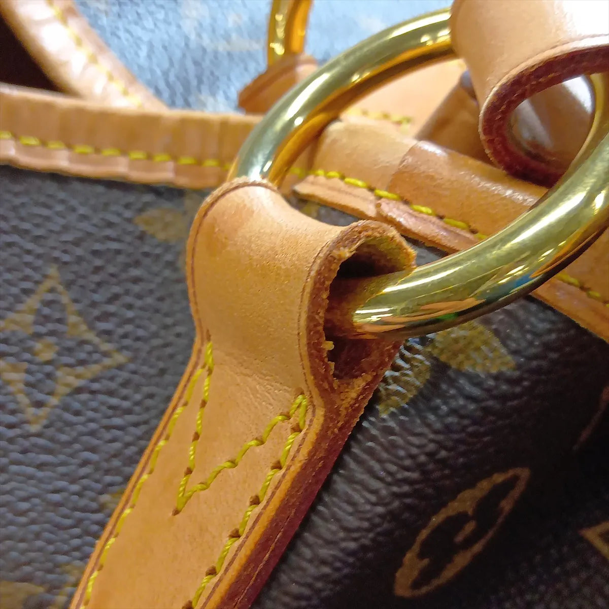 Louis Vuitton Monogram Delightful MM