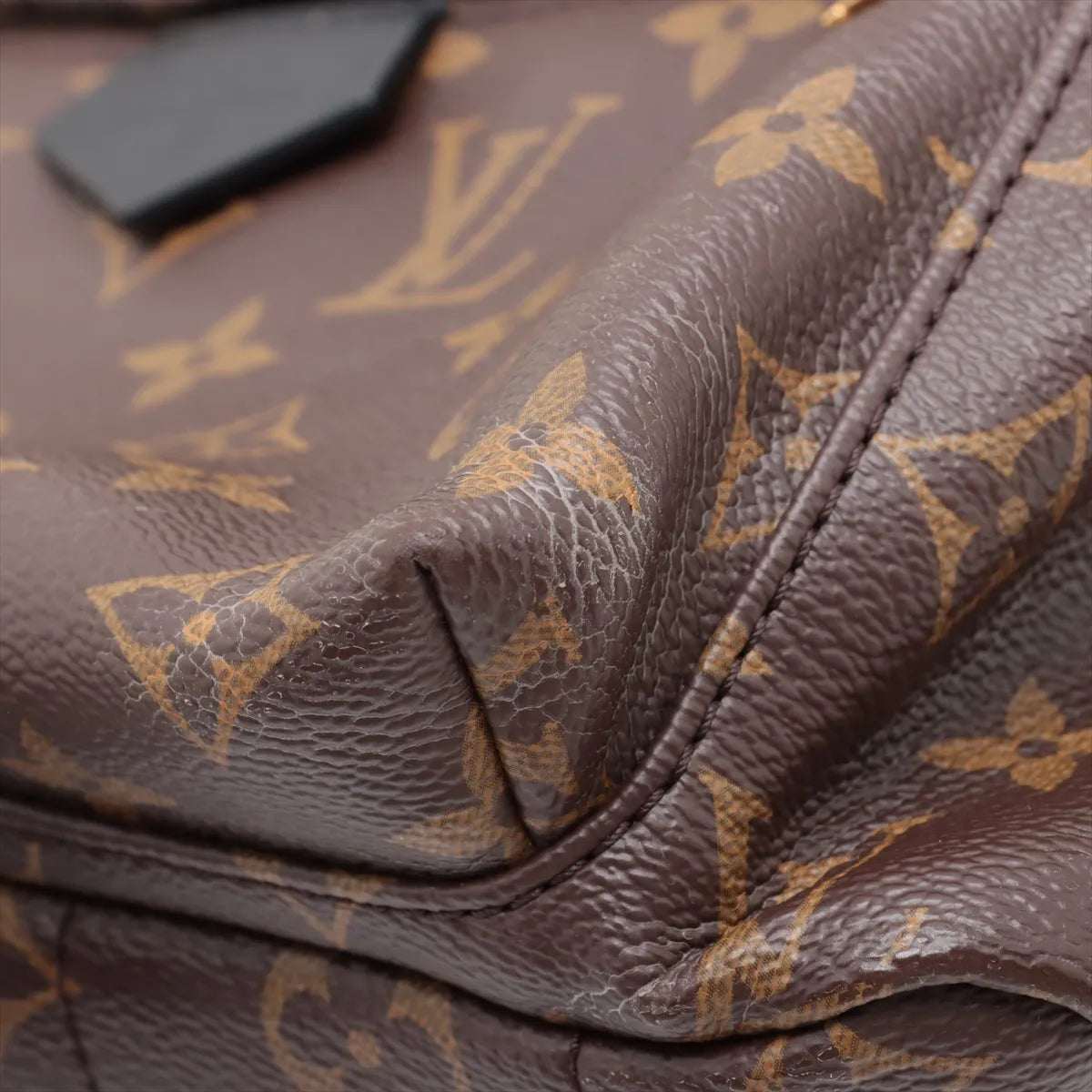 Louis Vuitton Monogram Palm Springs MM Backpack