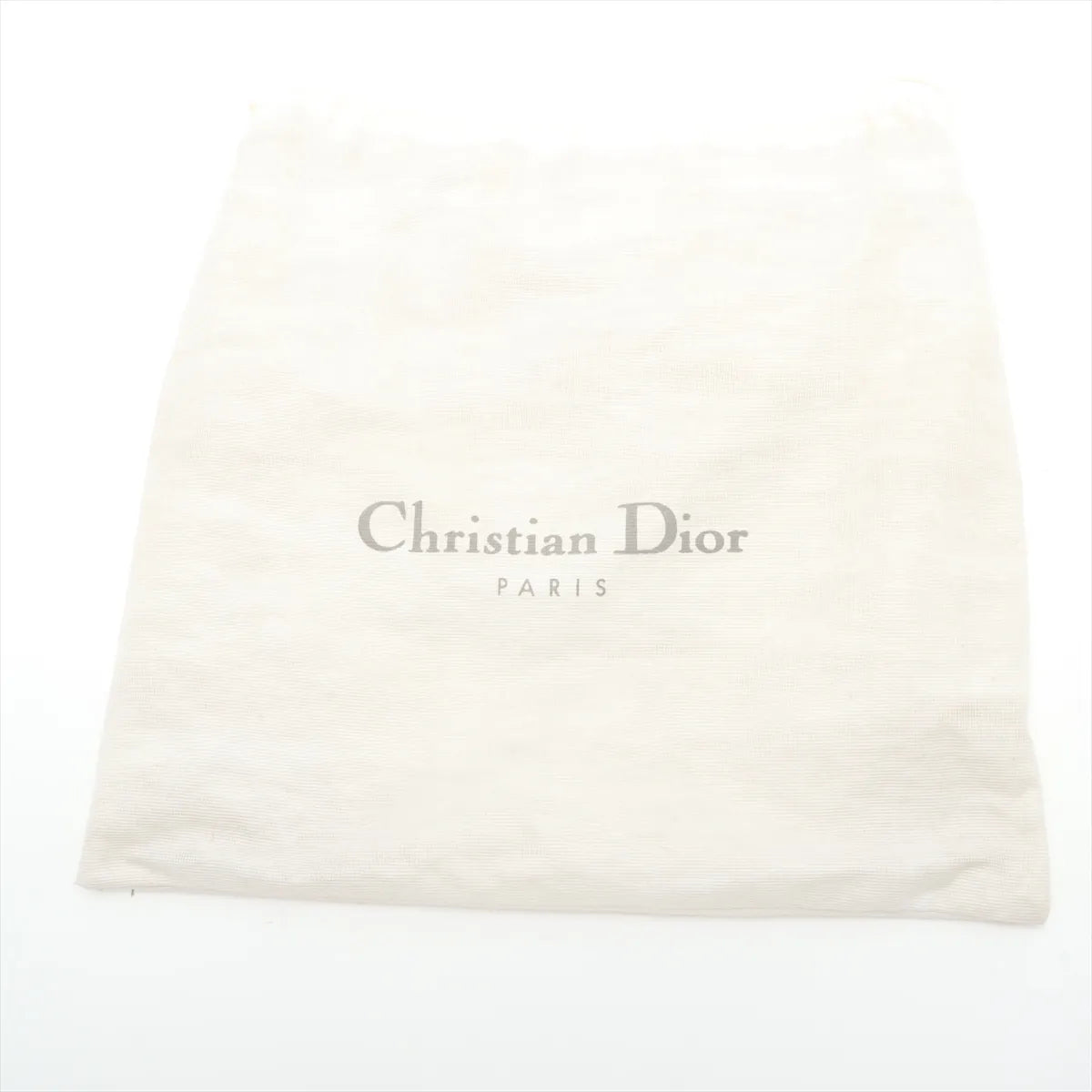 Christian Dior Double Saddle Lizard Embossing Leather Shoulder Bag Blue