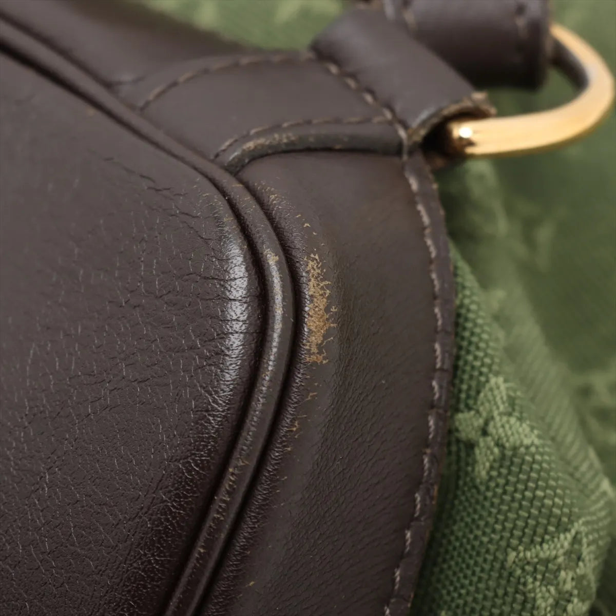 Louis Vuitton Monogram Mini Lin Montsouris GM Army Green