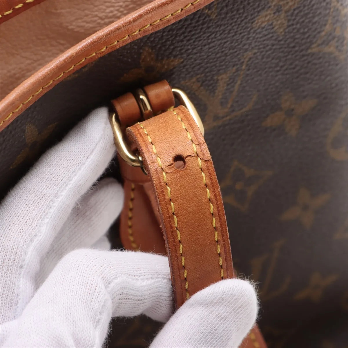 Louis Vuitton Monogram Bucket PM Tote Bag
