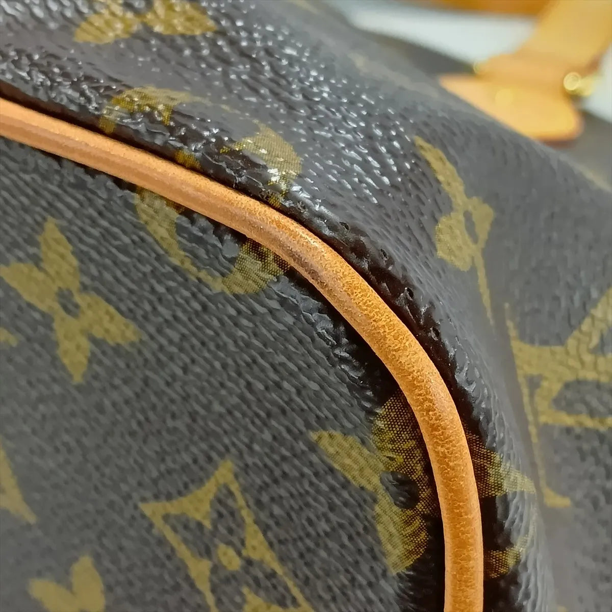 Louis Vuitton Monogram Palermo PM