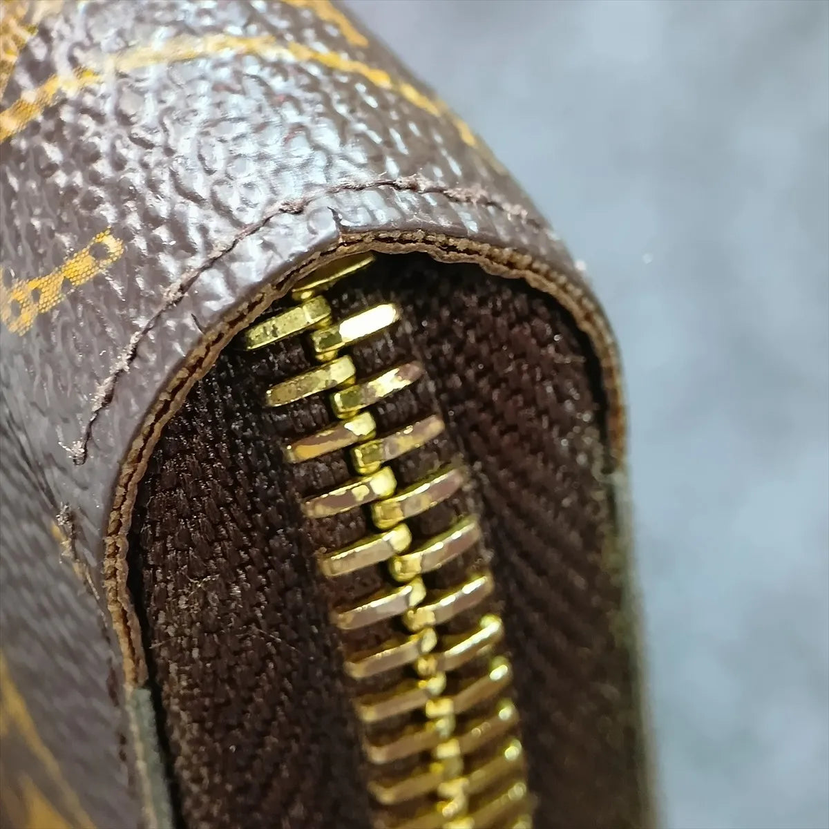Louis Vuitton Monogram Zippy Wallet