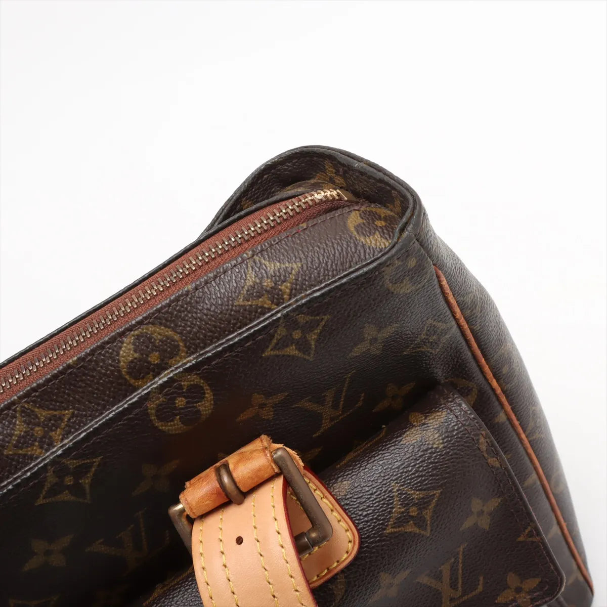 Louis Vuitton Monogram Multiple Cite