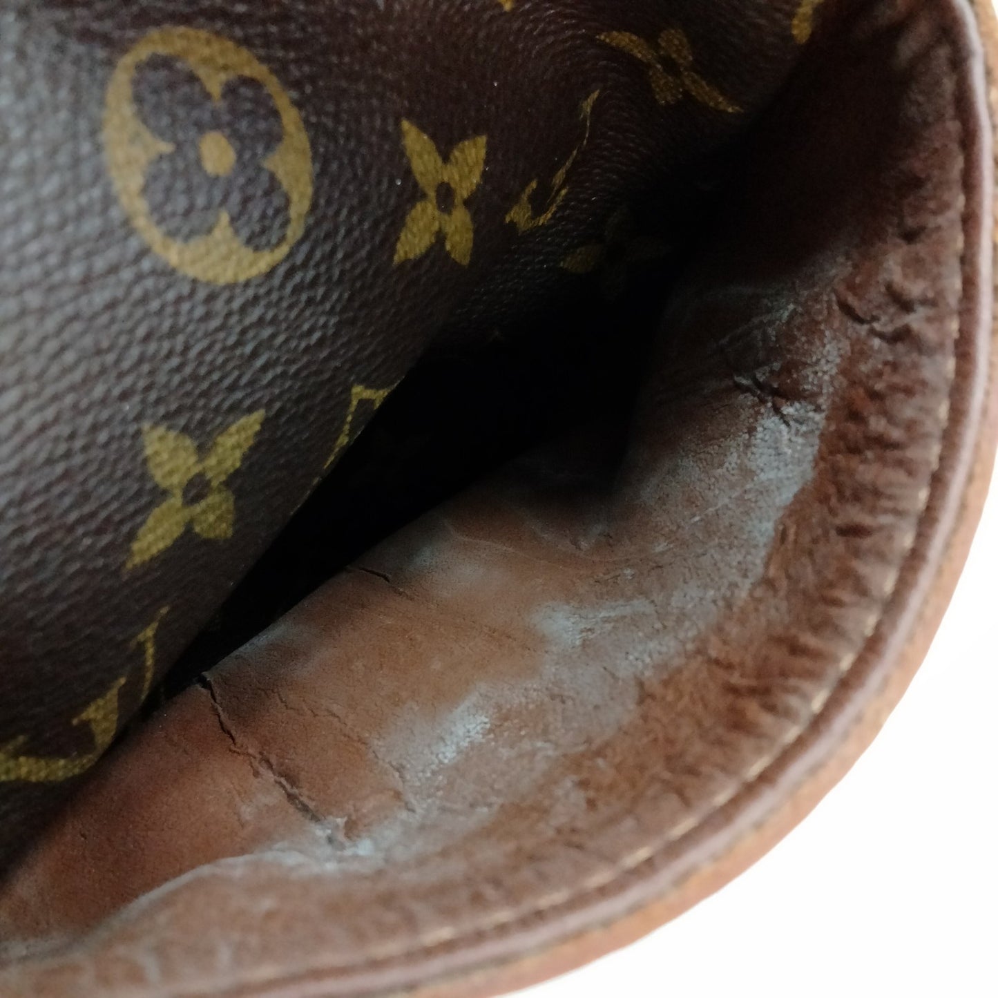 Louis Vuitton Monogram Danube Shoulder Bag