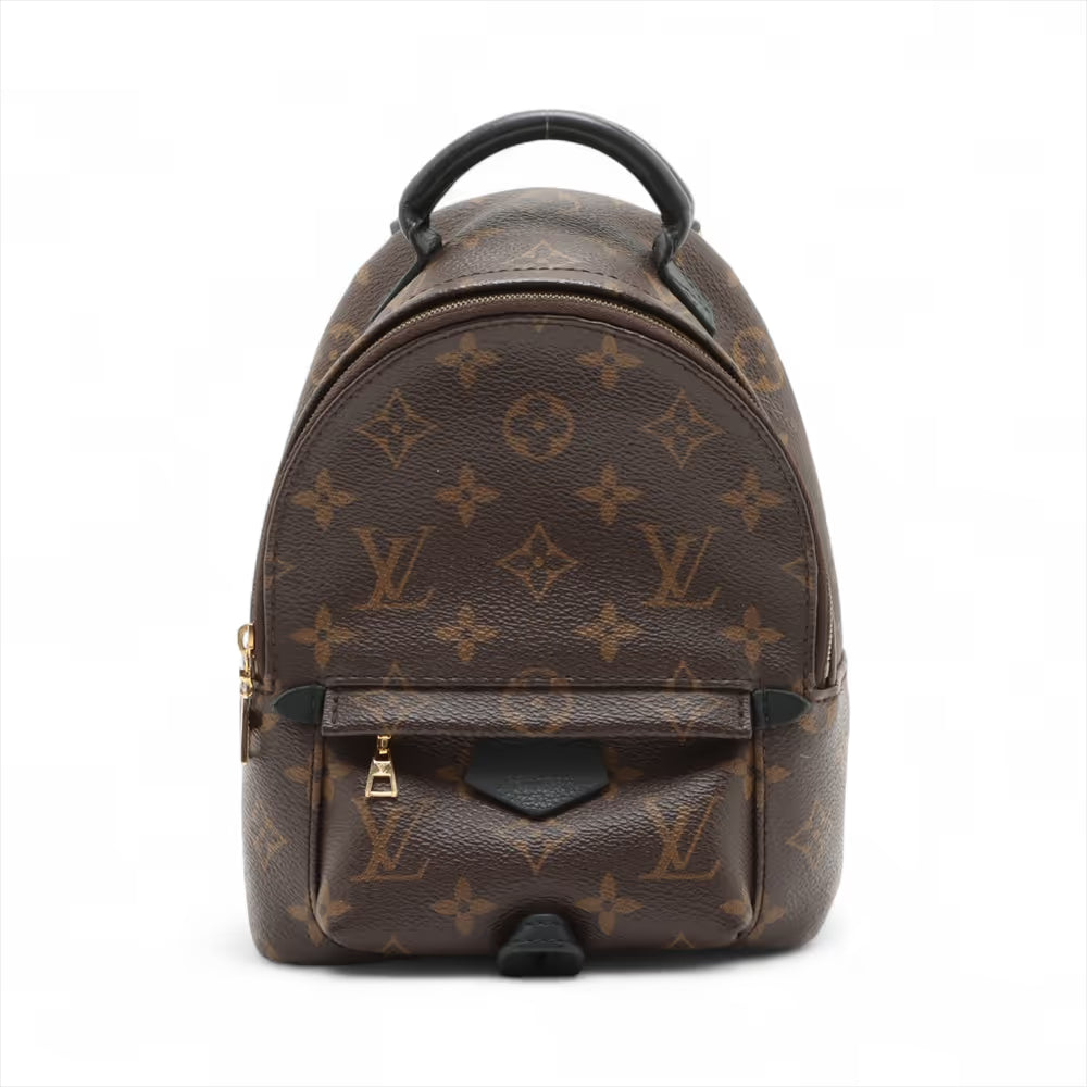 Louis Vuitton Monogram Palm Springs Mini Backpack