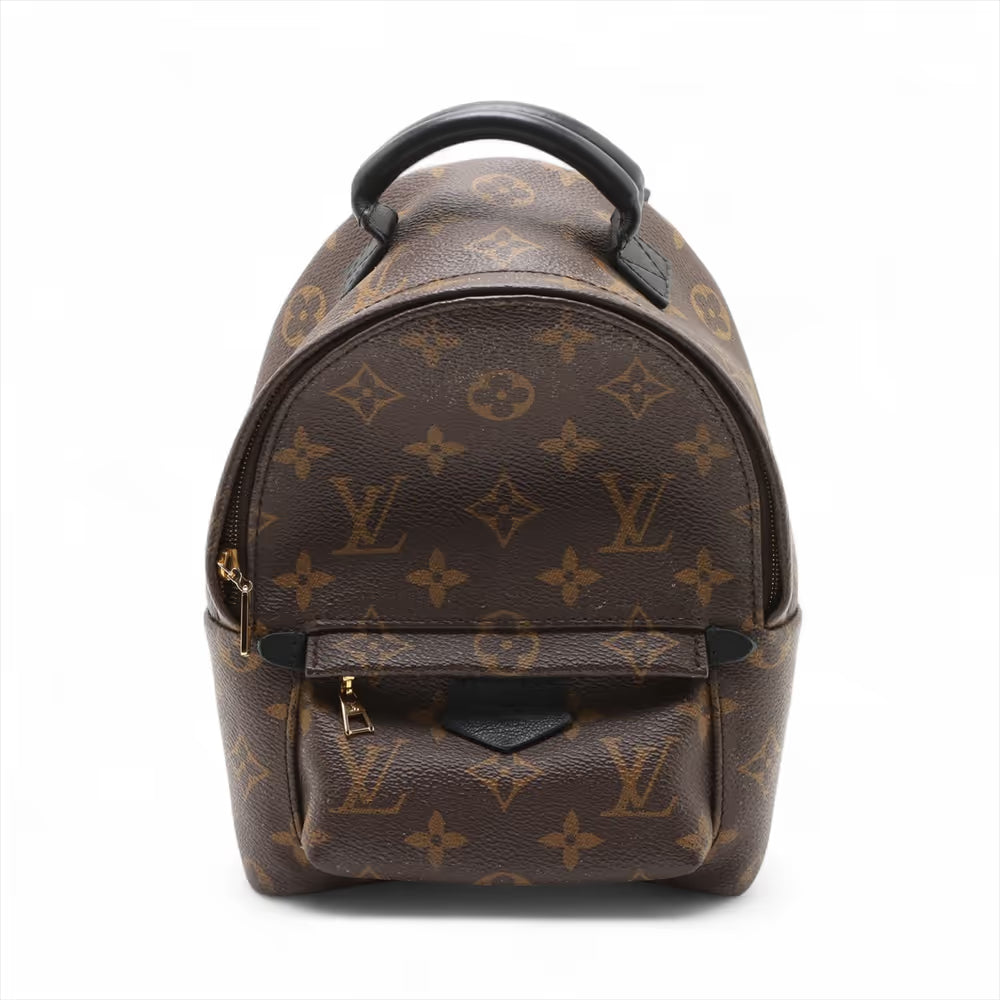 Louis Vuitton Monogram Mini Palm Springs Backpack