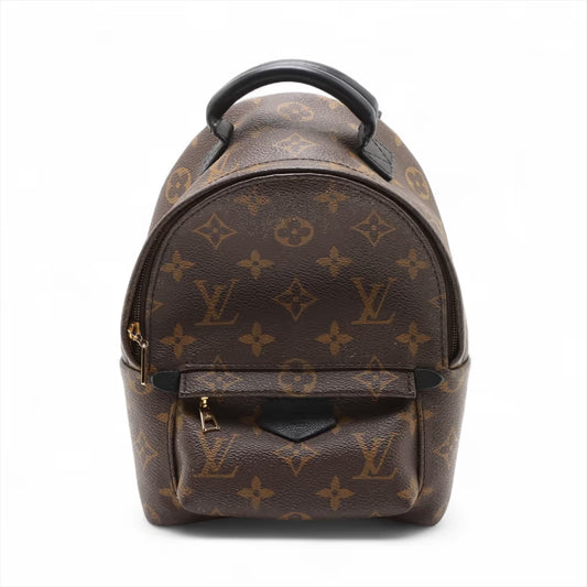 Louis Vuitton Monogram Mini Palm Springs Backpack