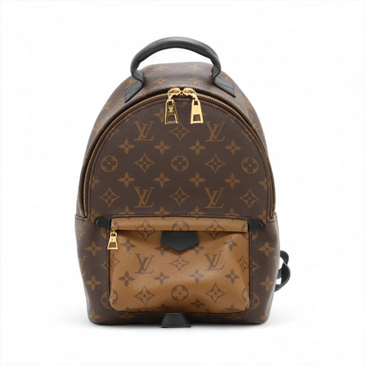 Louis Vuitton Monogram Reverse Palm Springs Backpack PM