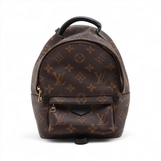 Louis Vuitton Monogram Palm Springs Mini Backpack