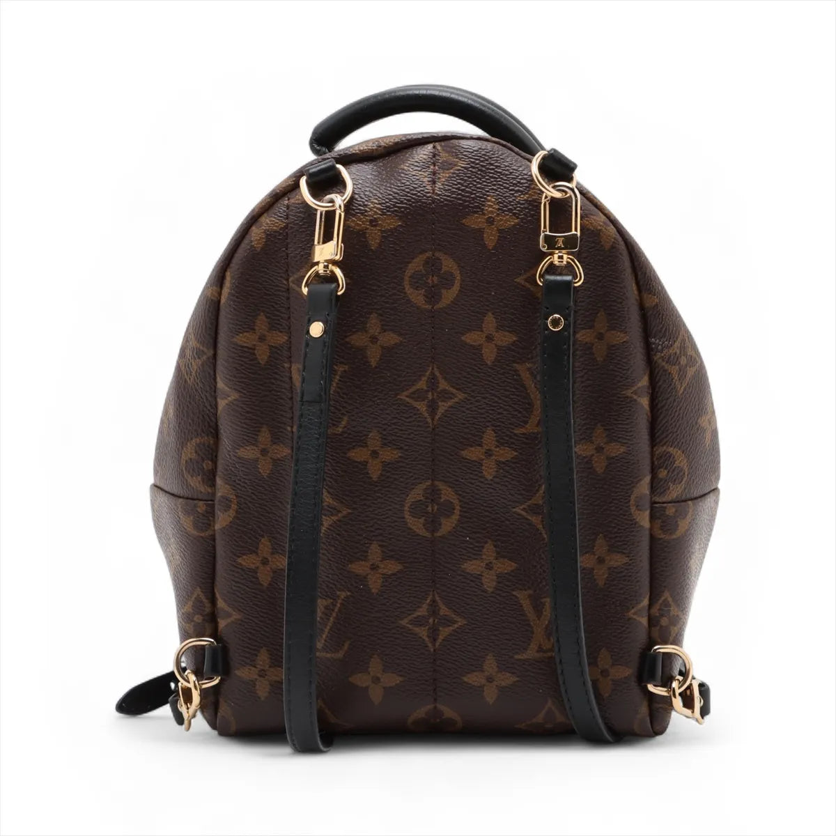 Louis Vuitton Monogram Palm Springs Mini Backpack