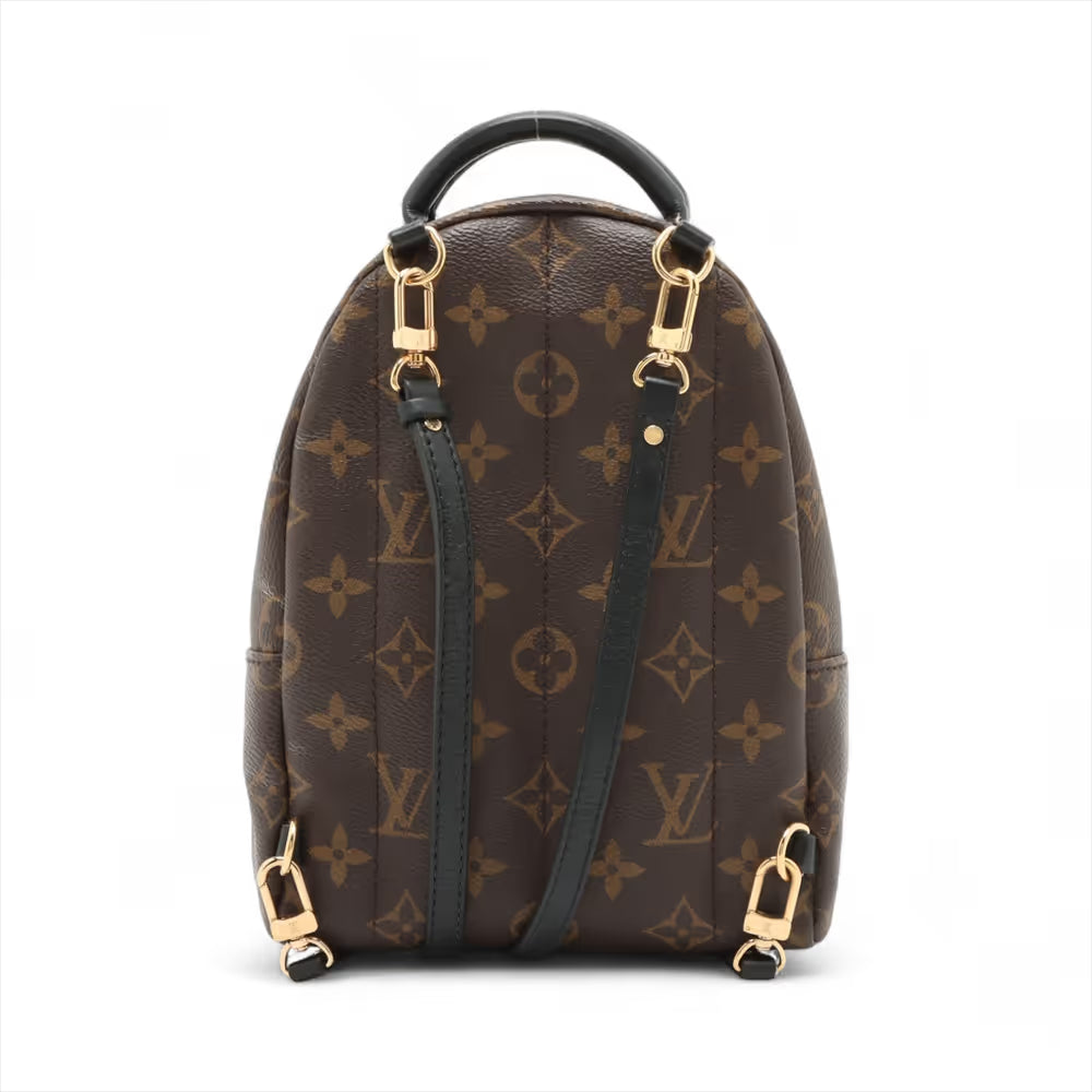 Louis Vuitton Monogram Palm Springs Mini Backpack