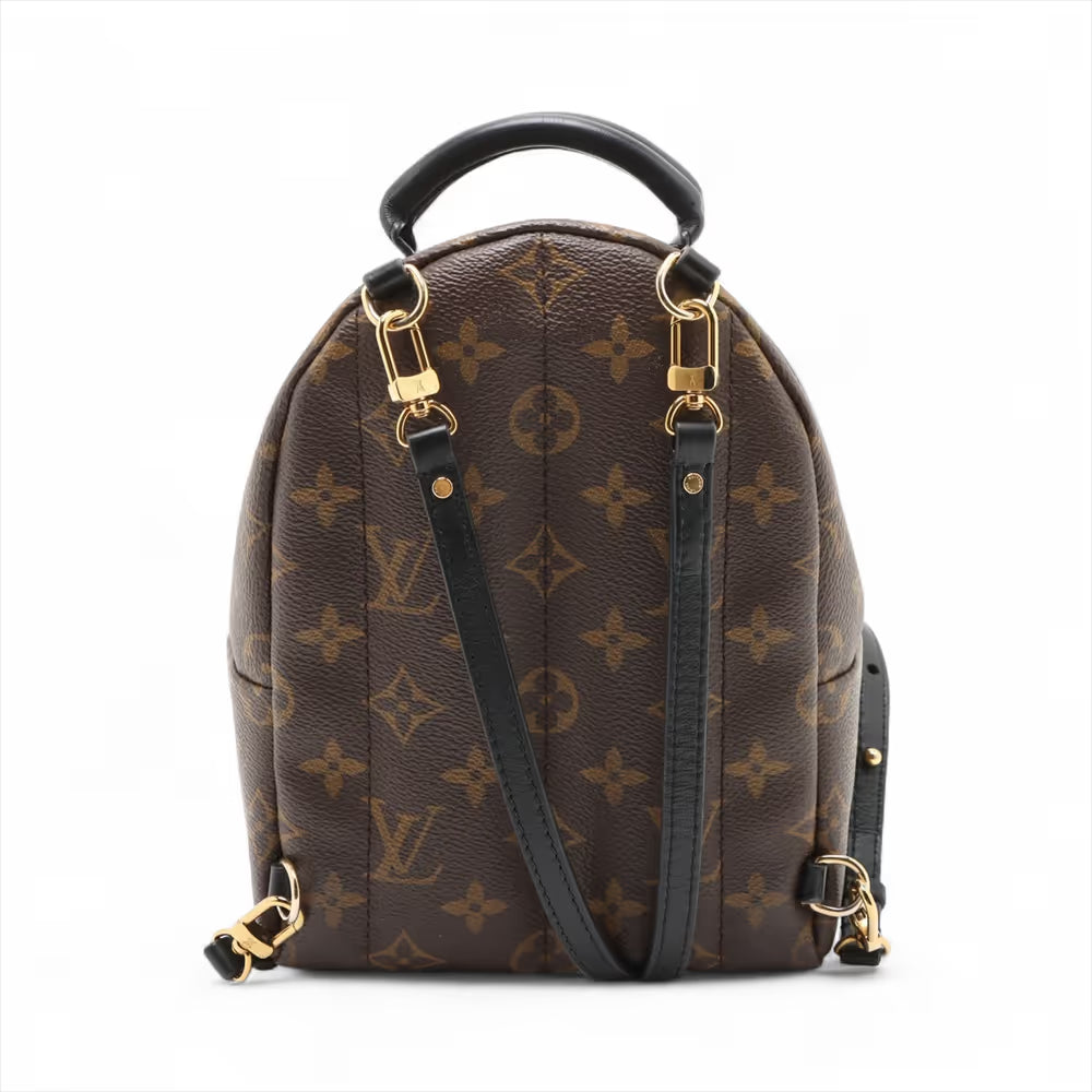 Louis Vuitton Monogram Mini Palm Springs Backpack