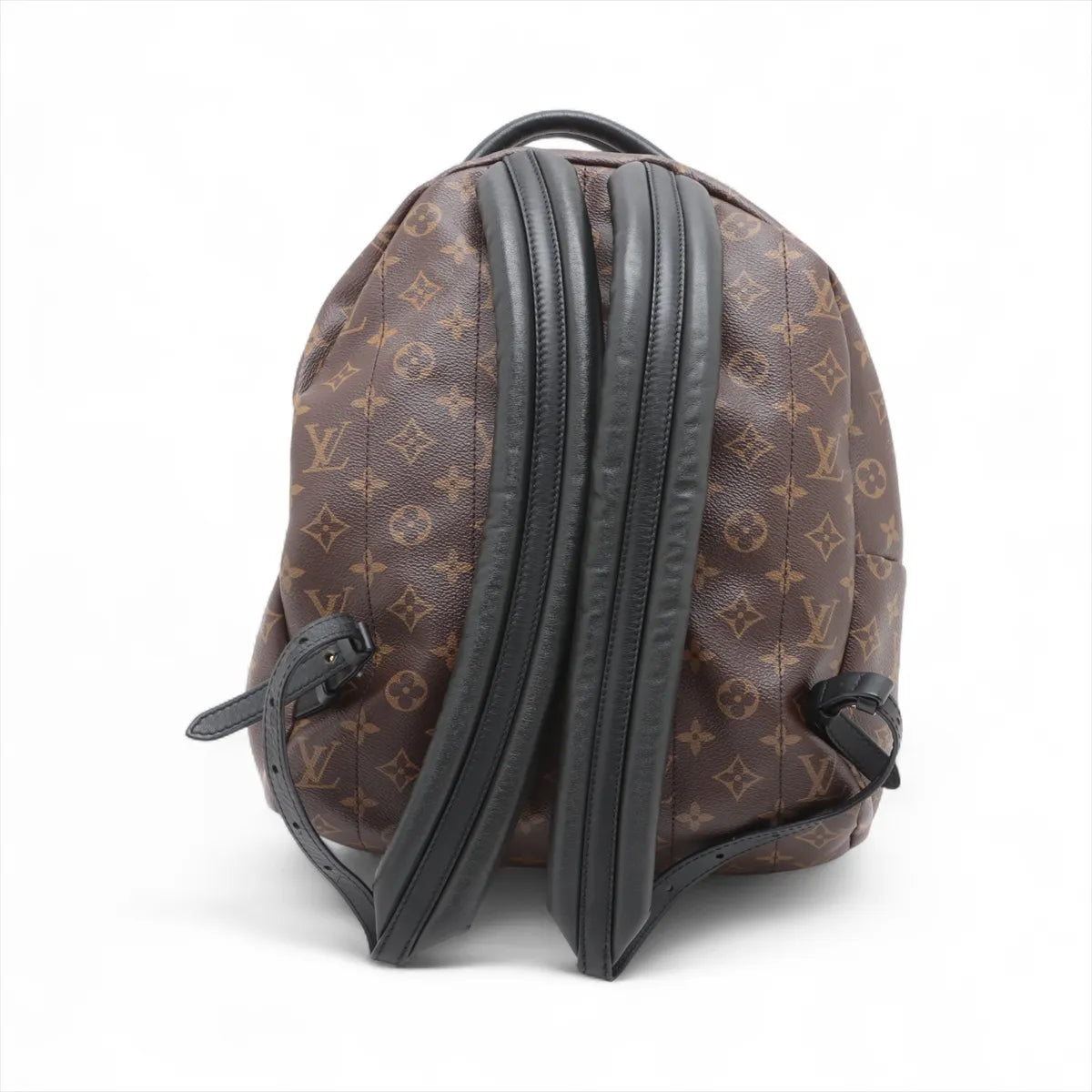 Louis Vuitton Monogram Palm Springs MM Backpack
