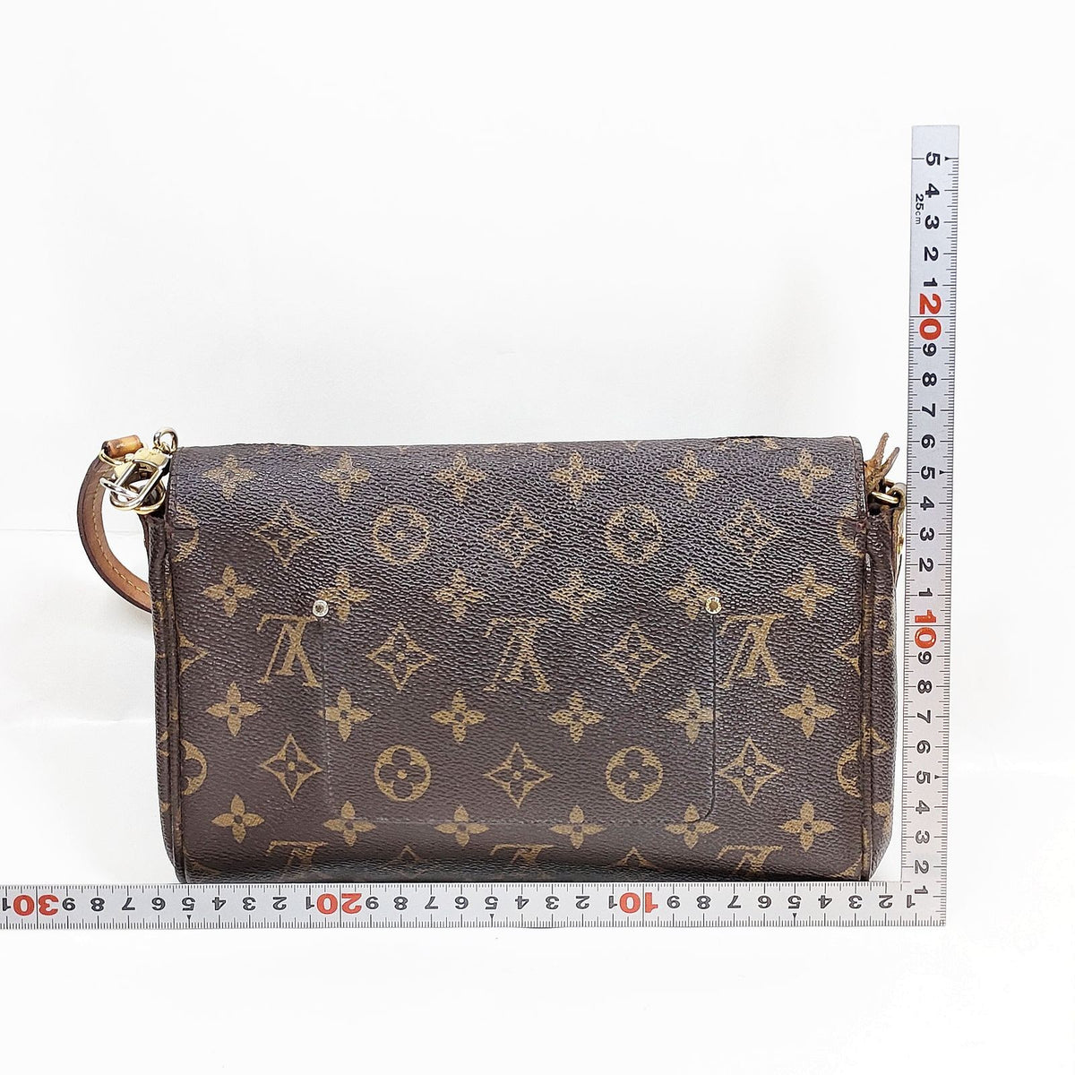 Louis Vuitton Monogram Favorite PM
