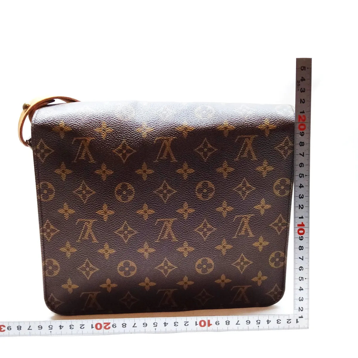 Louis Vuitton Monogram Cartouchiere