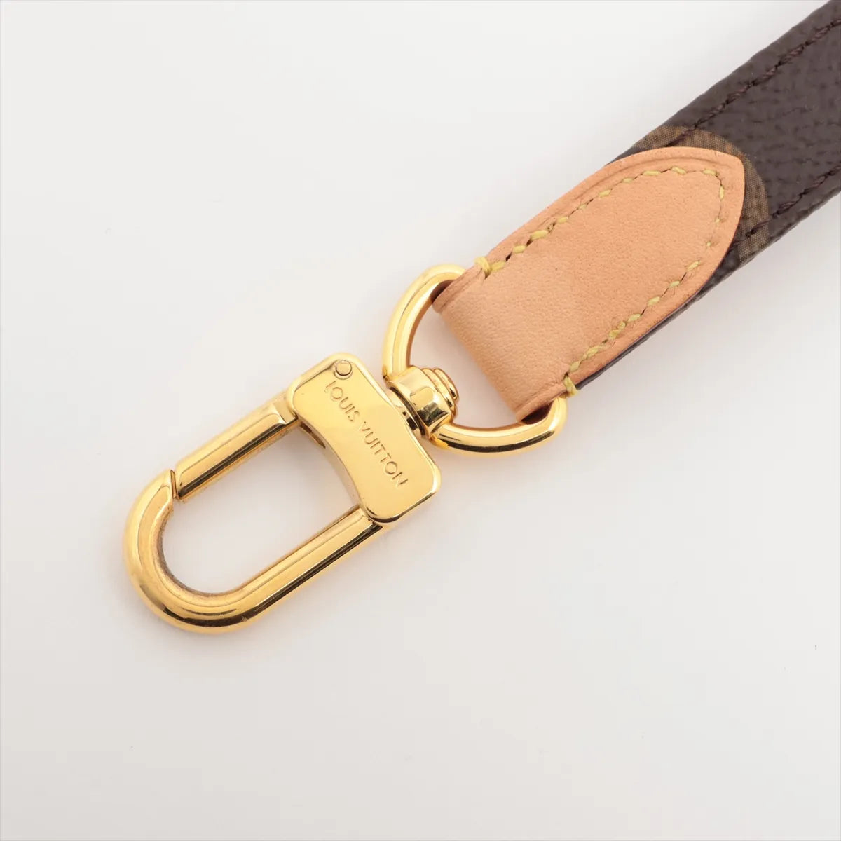 Louis Vuitton Monogram Dog Leash