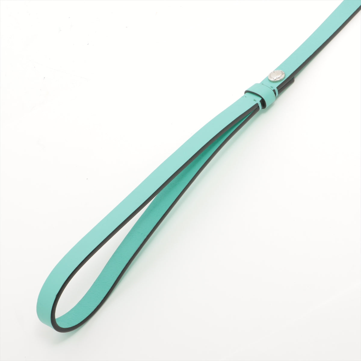 Tiffany & Co Pet Leash in Leather Blue