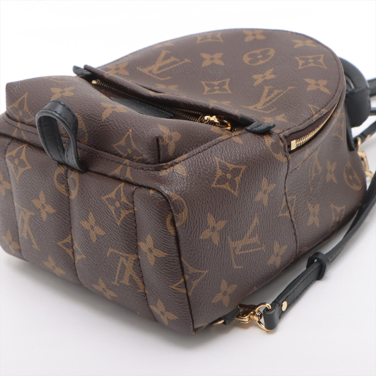 Louis Vuitton Monogram Palm Springs Mini Backpack * PREORDER *