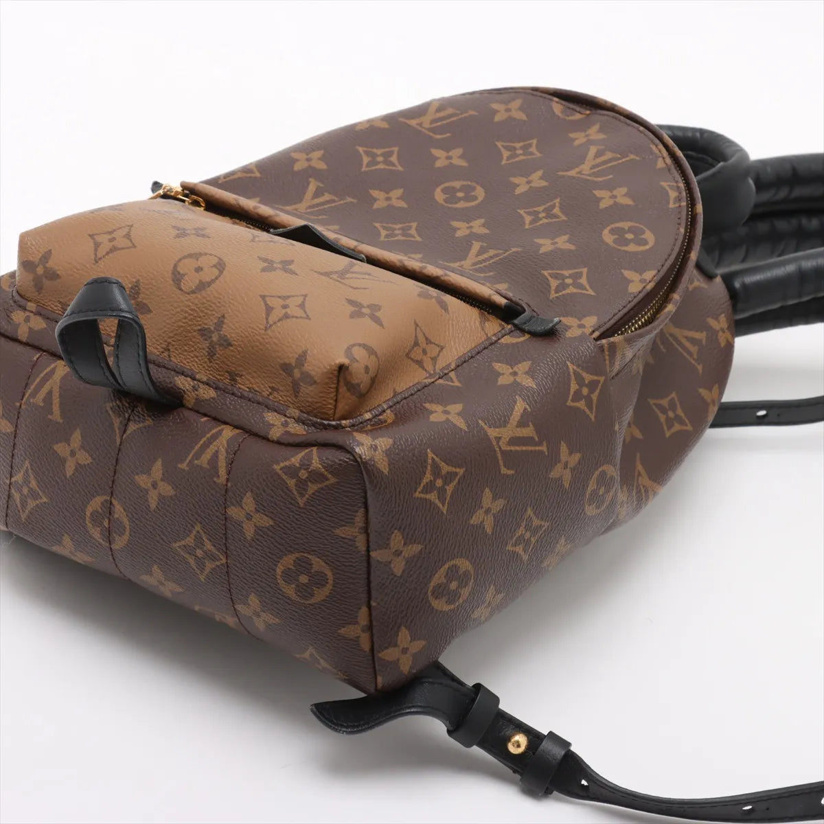 Louis Vuitton Monogram Reverse Palm Springs Backpack PM