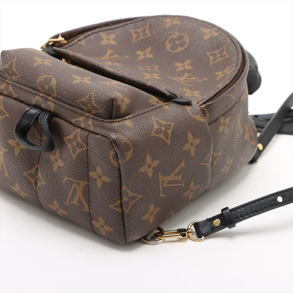 Louis Vuitton Monogram Mini Palm Springs Backpack