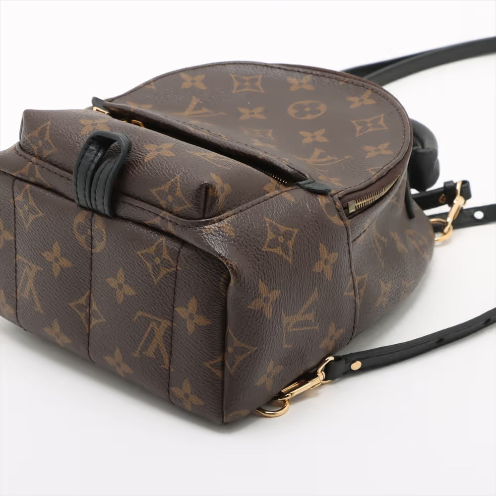 Louis Vuitton Monogram Palm Springs Mini Backpack